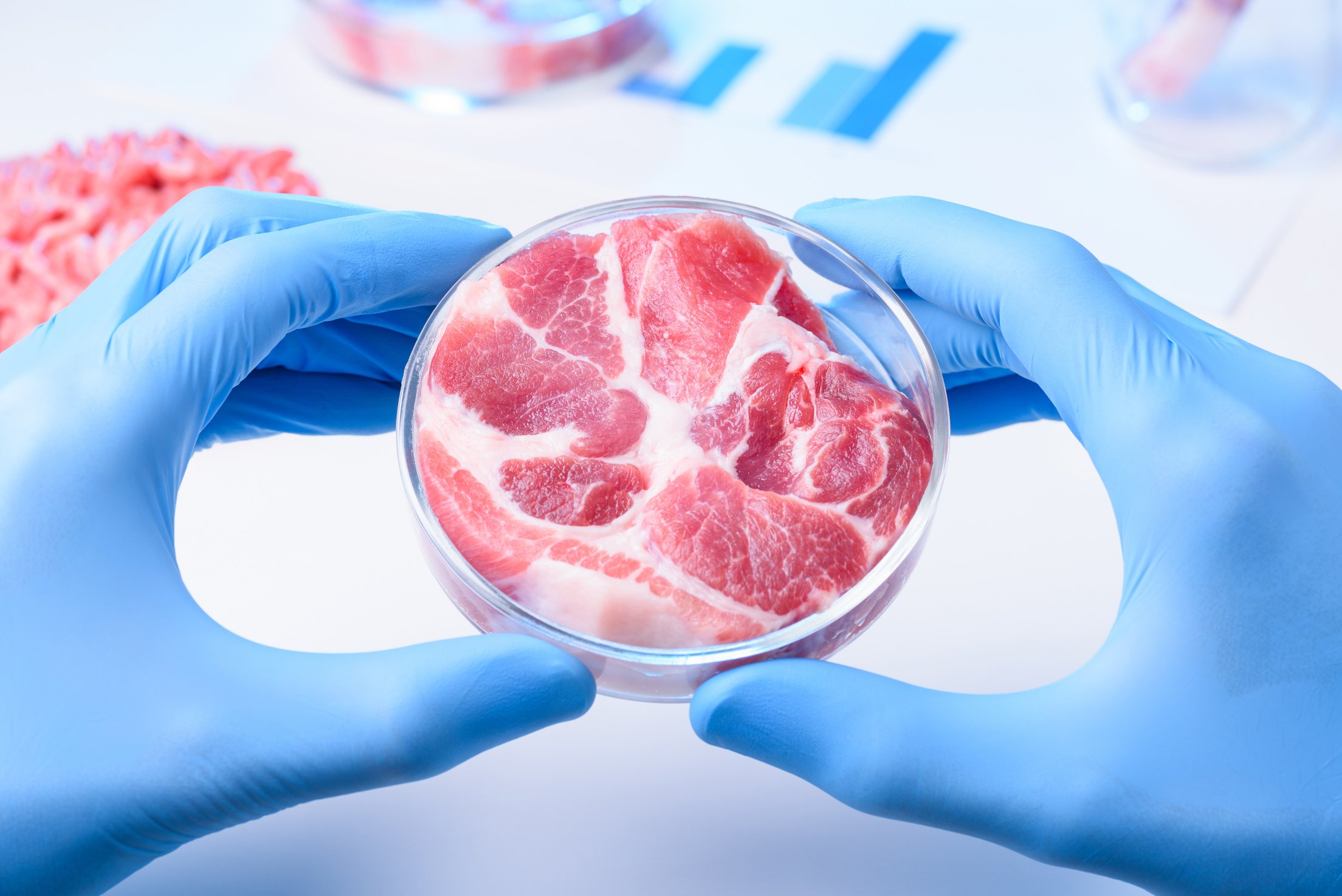 Cultured lab grown meat or meat examination concept